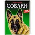 russische bücher:  - Энциклопедия. Собаки