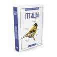 russische bücher: Бедуайер К. - Птицы