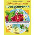 russische bücher: Султанова Марина - Удивительные превращения. Как живут и развиваются растения