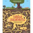 russische bücher: Бальзо Карин - Тайные лабиринты. Большая книга лабиринтов