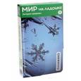 russische bücher:  - Мир на ладошке. Загадки природы.