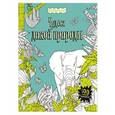 russische bücher:  - Чудеса дикой природы (+ наклейки для раскрашивания)