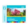russische bücher: Николаева С. Н. - Календарь сезонных наблюдений. 5-7 лет