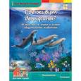russische bücher:  - Где живут дельфины и чего мы не знаем о самых общительных животных..