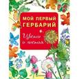 russische bücher:  - Мой первый гербарий. Цветы и листья