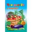 russische bücher:  - Что растет в огороде?