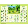 russische bücher:  - Растения. Плакат