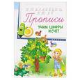 russische bücher:  - Прописи: учим цифры и счет 4+