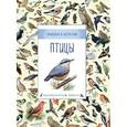 russische bücher: Дэвидсон С., Корто С., Дейвис К. - Птицы (Природа в деталях)