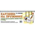 russische bücher: Арбекова Нелли Евгеньевна - Картинки на пружинке. Семьи домашних животных и птиц. Дидактический материал