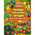 russische bücher: Доманская Л.В., Максимова И.Ю. - Овощи, фрукты, ягоды. Что где растёт?
