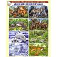 russische bücher:  - Демонстрационные картины: Дикие животные