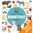 russische bücher:  - Найди и покажи. Животные