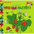 russische bücher: Печерская Анна Николаевна - Что где растет?