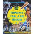russische bücher: Волкова Н. - Почему так, а не иначе