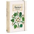 russische bücher: Васильева А.Б. - Мой гербарий. Листья деревьев