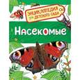 russische bücher: Клюшник Л. - Насекомые. Энциклопедия для детского сада