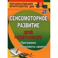 russische bücher: Высокова Татьяна Павловна - Сенсомоторное развитие детей раннего возраста: программа, конспекты занятий. ФГОС ДО