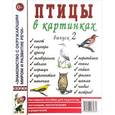 russische bücher:  - Птицы в картинках. Выпуск 2. Наглядное пособие для педагогов, логопедов, воспитателей и родителей