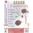 russische bücher:  - Злаки в картинках. Наглядное пособие для педагогов, логопедов, воспитателей и родителей