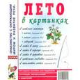 russische bücher:  - Лето в картинках. Наглядное пособие для педагогов, логопедов, воспитателей и родителей
