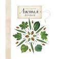 russische bücher: Анна Васильева  - Мой гербарий. Листья деревьев 
