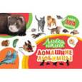 russische bücher: Котятова Н.И. - Домашние любимцы