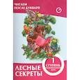 russische bücher: Ивлева В. - Лесные секреты.1 ступень