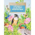 russische bücher: Габеева Н. - Птички-невелички. Кто на свете меньше всех?