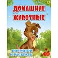 russische bücher:  - Домашние животные. Детская раскраска