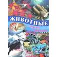 russische bücher: Родригес Кармен - Животные морей и океанов