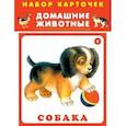russische bücher:  - Набор карточек "Домашние животные"