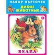russische bücher:  - Дикие животные. Набор карточек