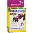 russische bücher:  - Полезные карточки "Овощи, фрукты, ягоды"