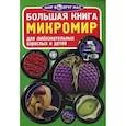 russische bücher: Завязкин О.В. - Большая книга. Микромир. Для любознательных взрослых и детей