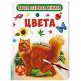 russische bücher:  - Твоя первая книга. Цвета