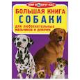 russische bücher: Завязкин О.В. - Большая книга. Собаки. Для любознательных мальчиков и девочек