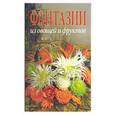 russische bücher: Кристанини ди Фидио Дж., Страбелло Беллини В. - Фантазии из фруктов и овощей