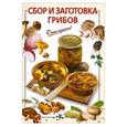 russische bücher: Довбенко И. - Сбор и заготовка грибов