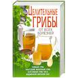russische bücher: Шкитина Е. - Целительные грибы от всех болезней.Чайный гриб,тибетский молочный гриб,берёзовый гриб,индийский гриб