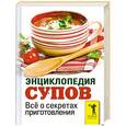 russische bücher:  - Энциклопедия супов. Все о секретах приготовления