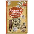 russische bücher: Солнечная М. - Домашние компоты,морсы и соки:лучшие рецепты