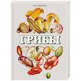 russische bücher: Федоров Федор Владимирович - Грибы