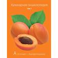 russische bücher: Ред. Ивенская Ольга Семеновна - Кулинарная энциклопедия. Том 1