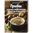 russische bücher: Сотникова Т.И. - Грибы. Большая энциклопедия рецептов и навыков