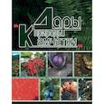 russische bücher: Сост. Кожан С.П. - Дары природы Камчатки