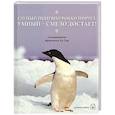 russische bücher: Хо Сан Ф. - Глупый пингвин робко прячет, умный - смело достает!