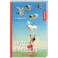 russische bücher: Аверченко А. - Чудеса в решете