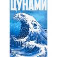russische bücher: Коташевская Беата - Цунами