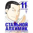 Стальной Алхимик. Книга 11